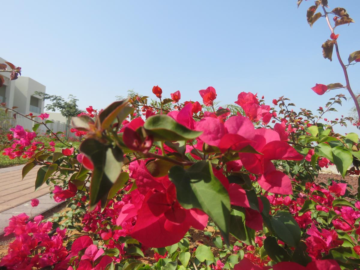 Bermuda Villas Holiday Home 拉斯阿尔卡麦 客房 照片